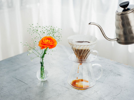 Hario Simply V60 Glass Brewing Kit